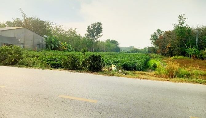Bán đất thổ cư Xã An Nhơn Tây – ảnh 4/6