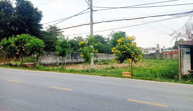 Bán đất thổ cư Xã Nhuận Đức – ảnh 2/6