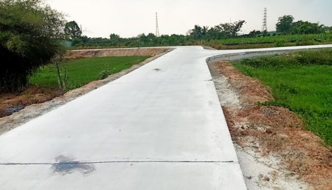 Bán đất thổ cư Xã Tân An Hội – ảnh 5/6