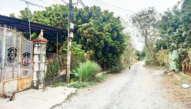 Bán kho, nhà xưởng Xã Tân An Hội – ảnh 3/6