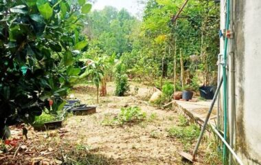 Bán nhà vườn đường 86 – 335m2 – 10×34 – 100m2 thổ cư – xã Phạm Văn Cội – Củ Chi