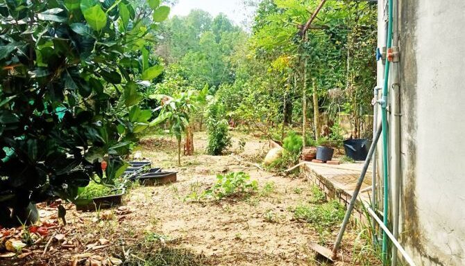 Bán nhà mặt tiền Xã Nhuận Đức – ảnh 1/6