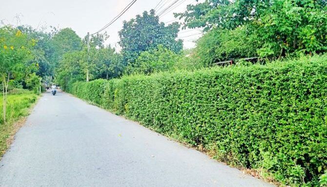 Bán nhà mặt tiền Xã Nhuận Đức – ảnh 4/6