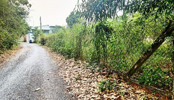 Bán đất thổ cư Xã Phú Hòa Đông – ảnh 1/5