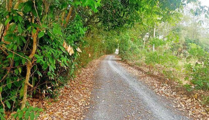 Bán đất thổ cư Xã Phú Hòa Đông – ảnh 2/5