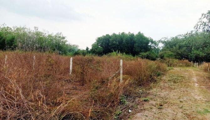 Bán đất thổ cư Xã Nhuận Đức – ảnh 5/6