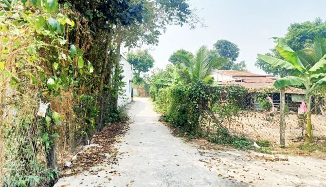 Bán đất thổ cư Xã Thái Mỹ – ảnh 4/6