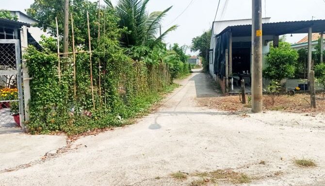 Bán đất thổ cư Xã Thái Mỹ – ảnh 5/6