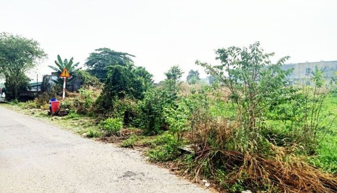 Bán đất thổ cư Xã Củ Chi – ảnh 2/5