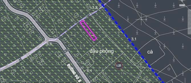 Bán đất thổ cư Xã Củ Chi – ảnh 5/5