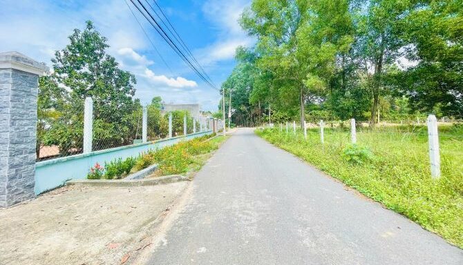Bán đất nông nghiệp, đất vườn Xã Củ Chi – ảnh 3/5