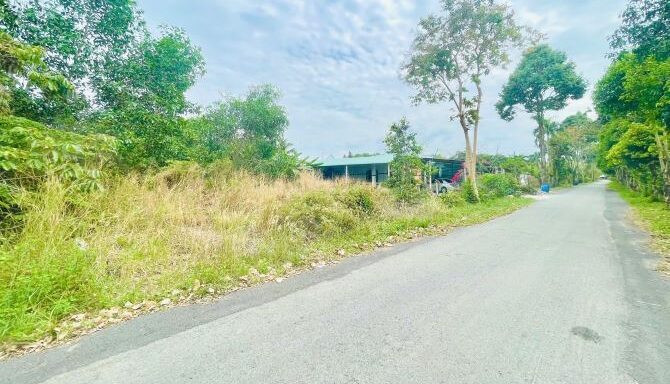 Bán đất thổ cư Xã Thái Mỹ – ảnh 1/5