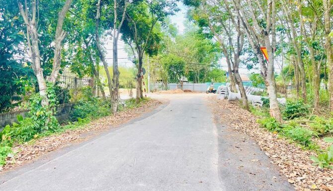 Bán đất thổ cư Xã Thái Mỹ – ảnh 2/5
