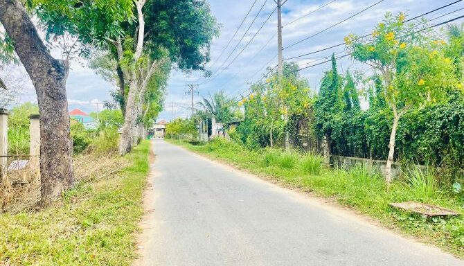 Bán đất thổ cư Xã Thái Mỹ – ảnh 4/5
