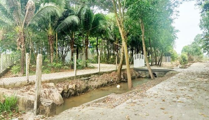 Bán nhà riêng Xã Thái Mỹ – ảnh 4/8