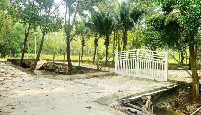 Bán nhà riêng Xã Thái Mỹ – ảnh 3/8