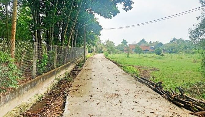 Bán nhà riêng Xã Thái Mỹ – ảnh 2/8