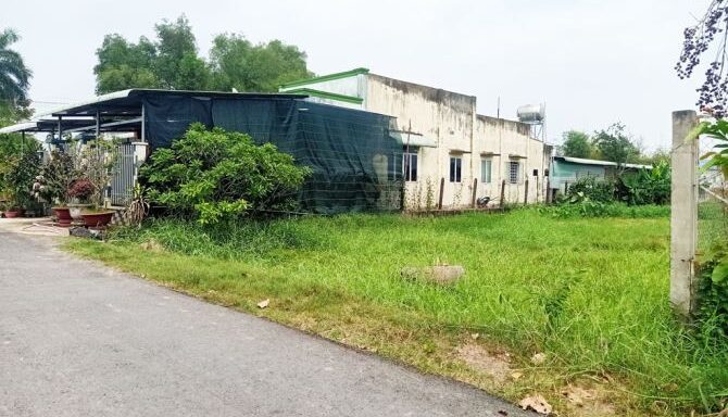 Bán đất thổ cư Xã Thái Mỹ – ảnh 2/5