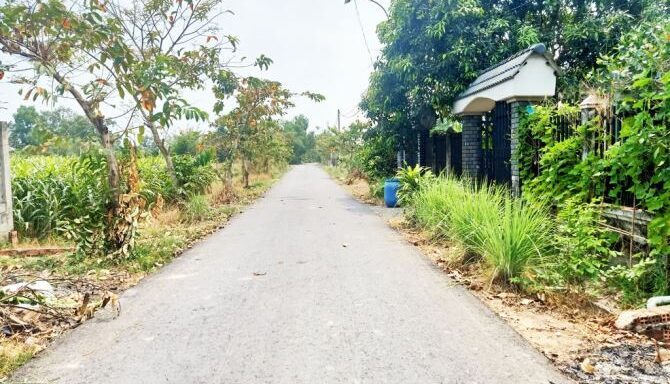 Bán đất thổ cư Xã Thái Mỹ – ảnh 4/5