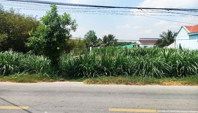 Bán đất thổ cư Xã An Nhơn Tây – ảnh 1/5