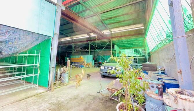 Bán kho, nhà xưởng Xã Phú Hòa Đông – ảnh 3/5