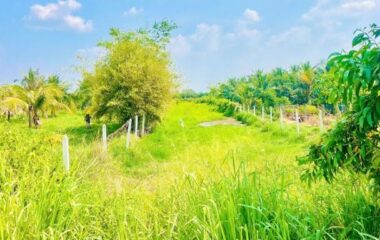 Bán đất thổ cư 1291m2 đường Cây Trôm, xã Thái Mỹ, Củ Chi