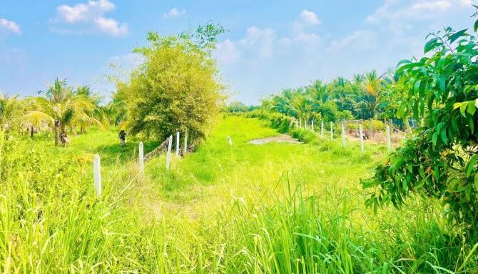 Bán đất thổ cư Xã Thái Mỹ – ảnh 1/5