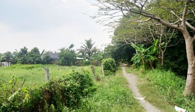 Bán đất thổ cư Xã Bình Mỹ – ảnh 2/5