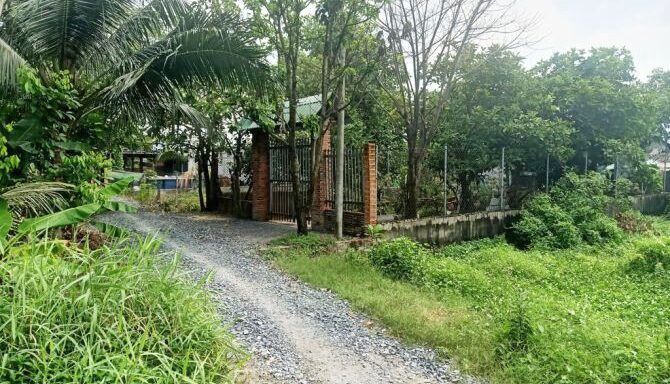 Bán đất thổ cư Xã Bình Mỹ – ảnh 3/5