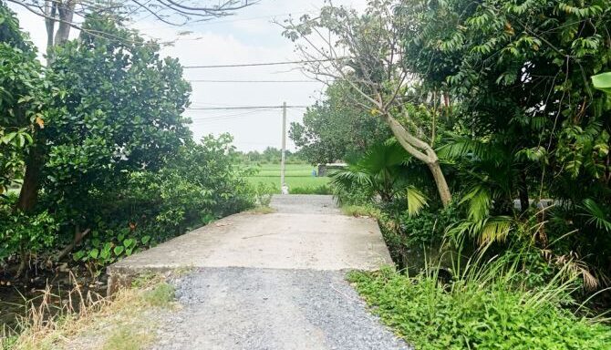 Bán đất thổ cư Xã Bình Mỹ – ảnh 4/5