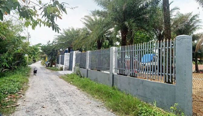 Bán đất thổ cư Xã Bình Mỹ – ảnh 4/5