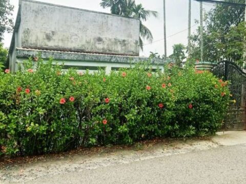 Bán nhà mặt tiền đường 165 Bình Mỹ Củ Chi 1060m2 giá 10,5 tỷ