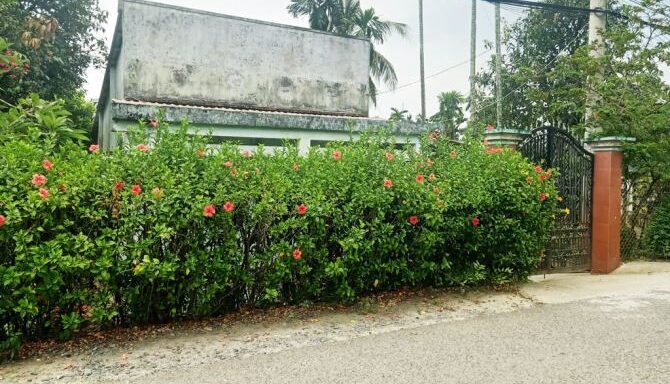 Bán nhà mặt tiền Xã Bình Mỹ – ảnh 1/5