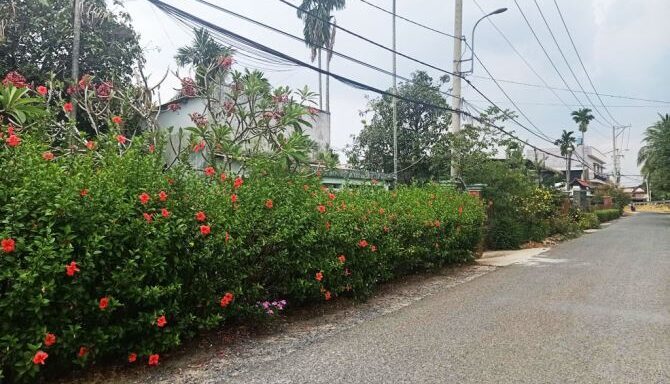 Bán nhà mặt tiền Xã Bình Mỹ – ảnh 4/5
