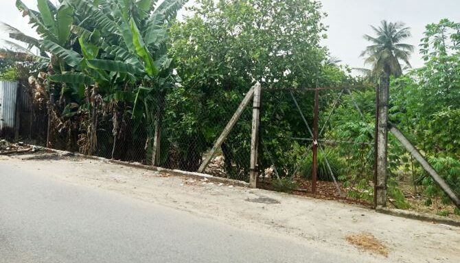 Bán đất thổ cư Xã Bình Mỹ – ảnh 1/5