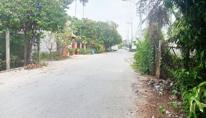 Bán đất thổ cư Xã Bình Mỹ – ảnh 3/5