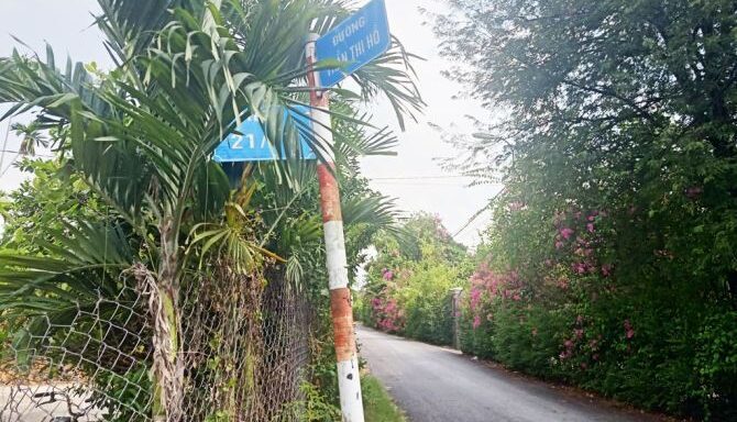 Bán đất thổ cư Xã Bình Mỹ – ảnh 4/6