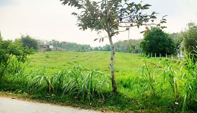 Bán đất thổ cư Xã Thái Mỹ – ảnh 1/6
