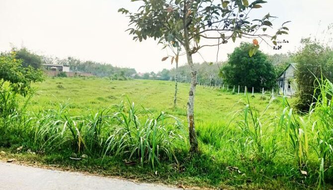 Bán đất thổ cư Xã Thái Mỹ – ảnh 3/6