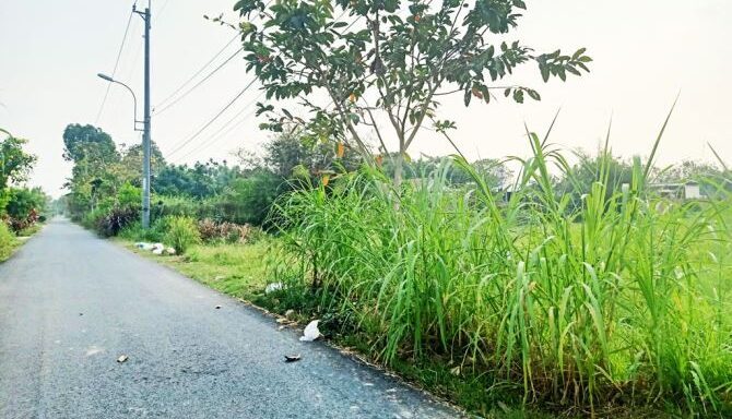 Bán đất thổ cư Xã Thái Mỹ – ảnh 5/6