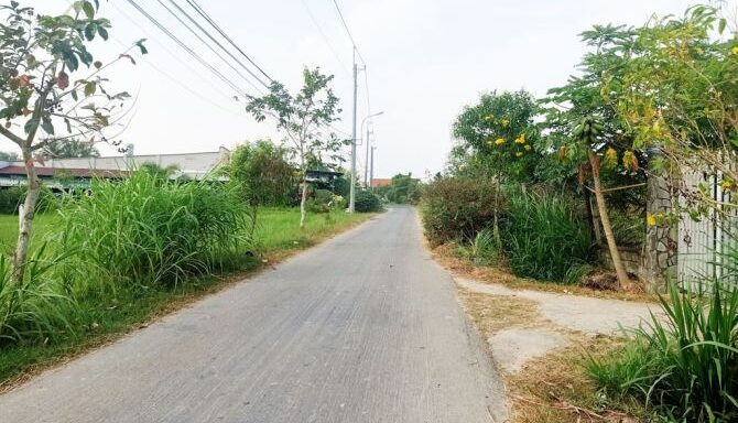 Bán đất thổ cư Xã Thái Mỹ – ảnh 6/6