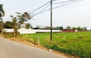Đất đường Trung Hưng – 4565m2 – 55×85 – 382m2 thổ cư – xã Trung Lập Thượng – Củ Chi