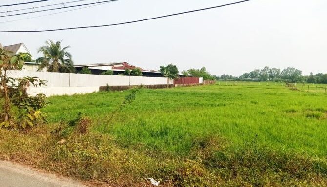 Bán đất thổ cư Xã Thái Mỹ – ảnh 2/6