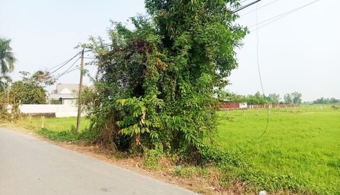 Bán đất thổ cư Xã Thái Mỹ – ảnh 3/6