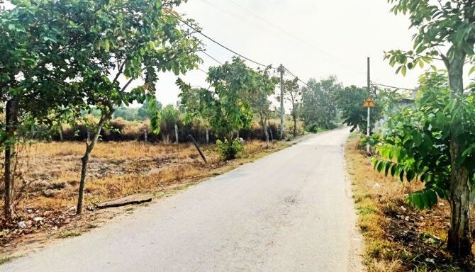 Bán đất thổ cư Xã Thái Mỹ – ảnh 6/6