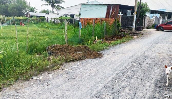 Bán đất thổ cư Xã Thái Mỹ – ảnh 2/5