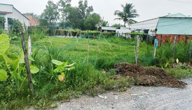 Bán đất thổ cư Xã Thái Mỹ – ảnh 4/5