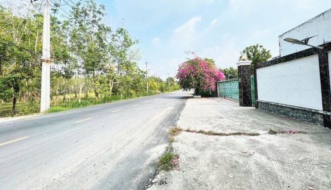 Bán kho, nhà xưởng Xã An Nhơn Tây – ảnh 4/6
