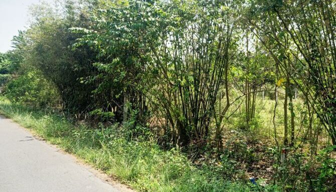 Bán đất thổ cư Xã An Nhơn Tây – ảnh 2/5