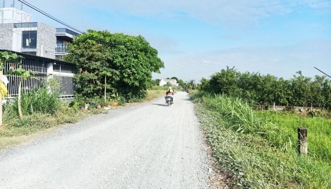 Bán đất thổ cư Xã Bình Mỹ – ảnh 3/5